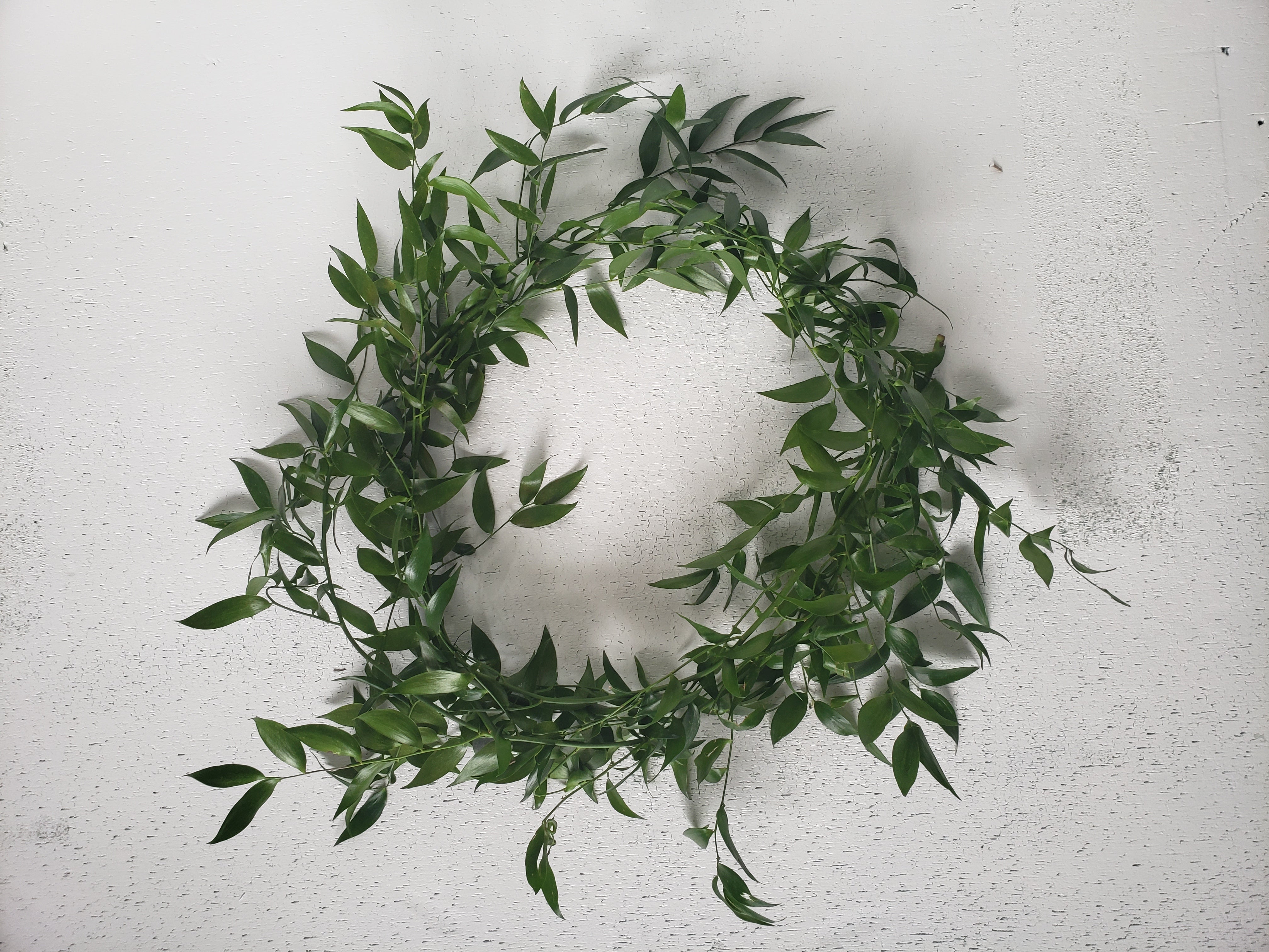 Greenery Wreath Centerpiece-Italian Ruscus
